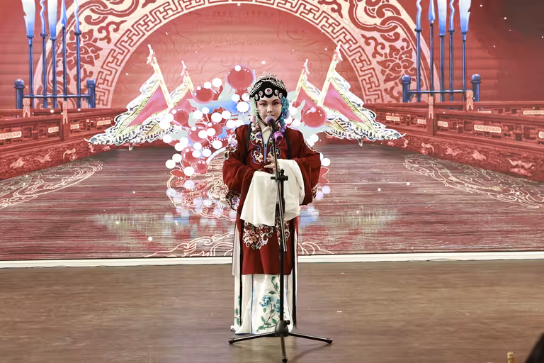 纽约东北同乡会金蛇狂舞春宴