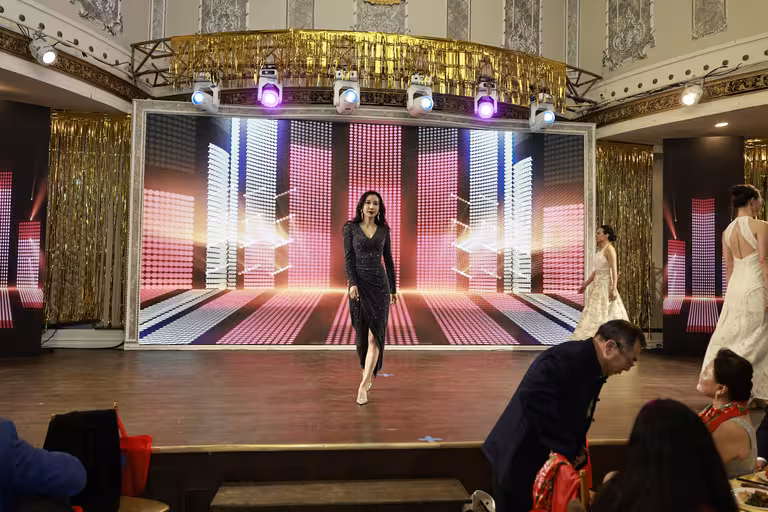 纽约东北同乡会金蛇狂舞春宴